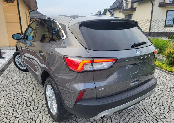 Ford Kuga cena 81500 przebieg: 38000, rok produkcji 2021 z Tarnów małe 529